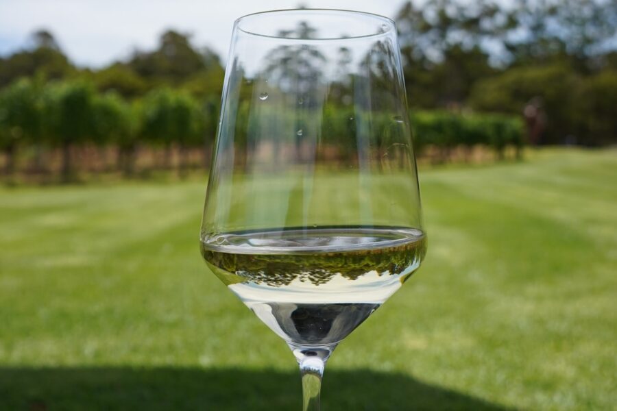 Taça de vinho branco diante de um vinhedo para ilustrar as características e harmonizações do Chardonnay