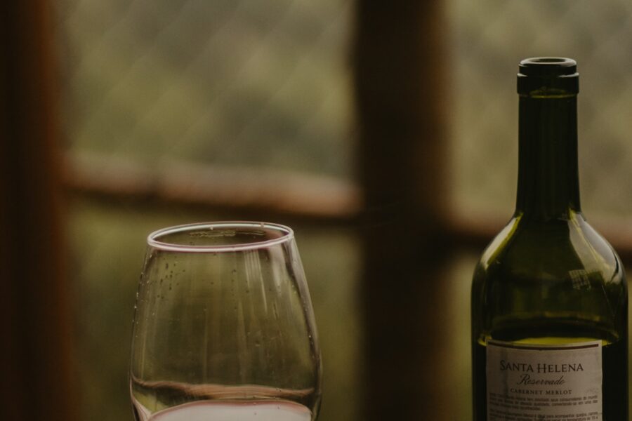 Taça de vinho tinto ao lado de uma garrafa para ilustrar as características e harmonizações do vinho Malbec