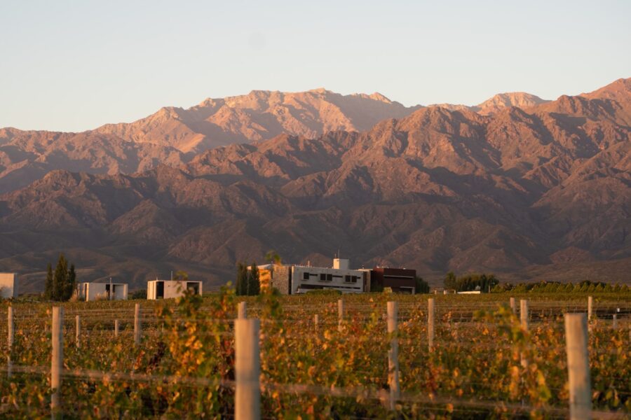 Vinhedo em Mendoza, Argentina, com montanhas ao fundo em paisagem de enoturismo