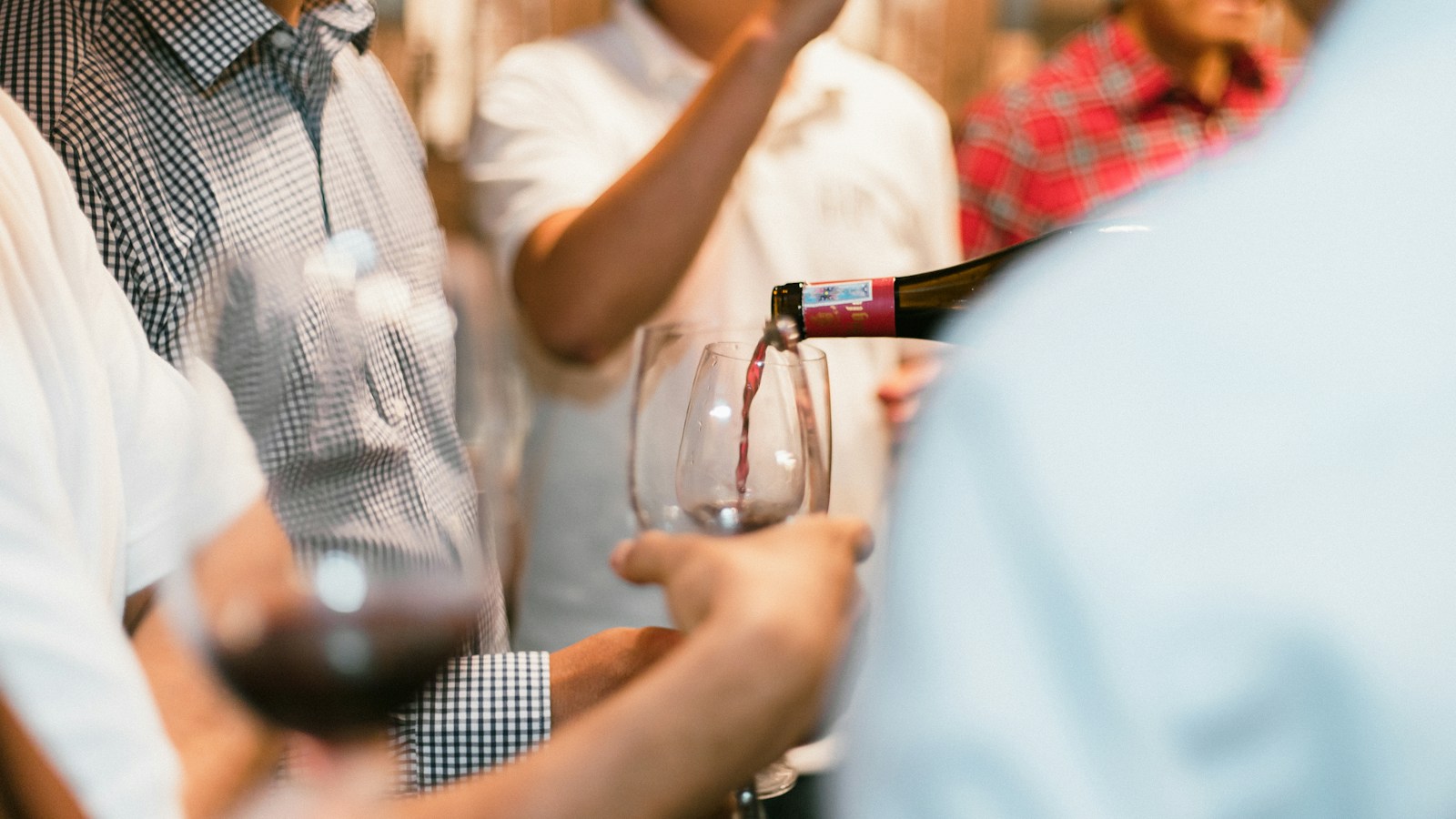 Pessoas segurando taças de vinho em encontro ligado ao universo do vinho