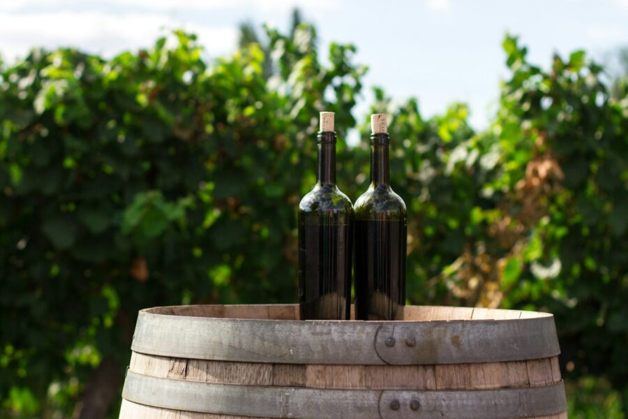 Duas garrafas de vinho lado a lado para ilustrar a diferença entre vinho varietal e blend