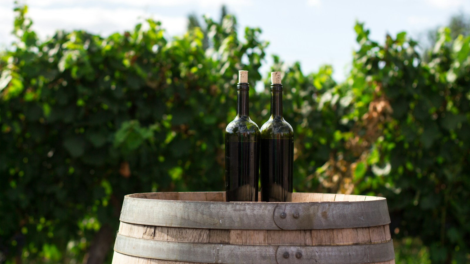 Duas garrafas de vinho lado a lado para ilustrar a diferença entre vinho varietal e blend